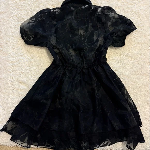 Disturbia Spectre Layered Sheer Mini Dress - Picture 5 of 9